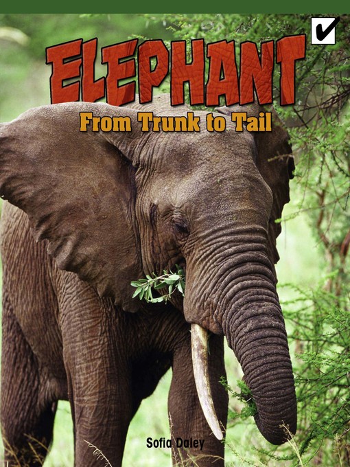 Title details for Elephant by Sofia Daley - Wait list